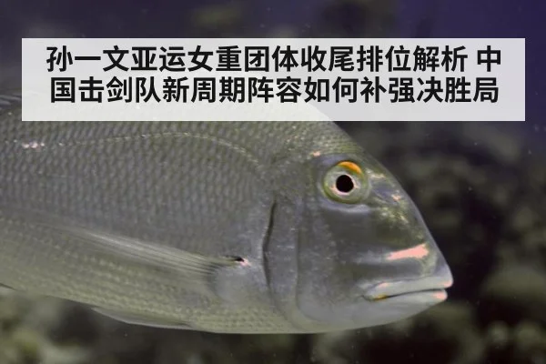 孙一文亚运女重团体收尾排位解析 中国击剑队新周期阵容如何补强决胜局